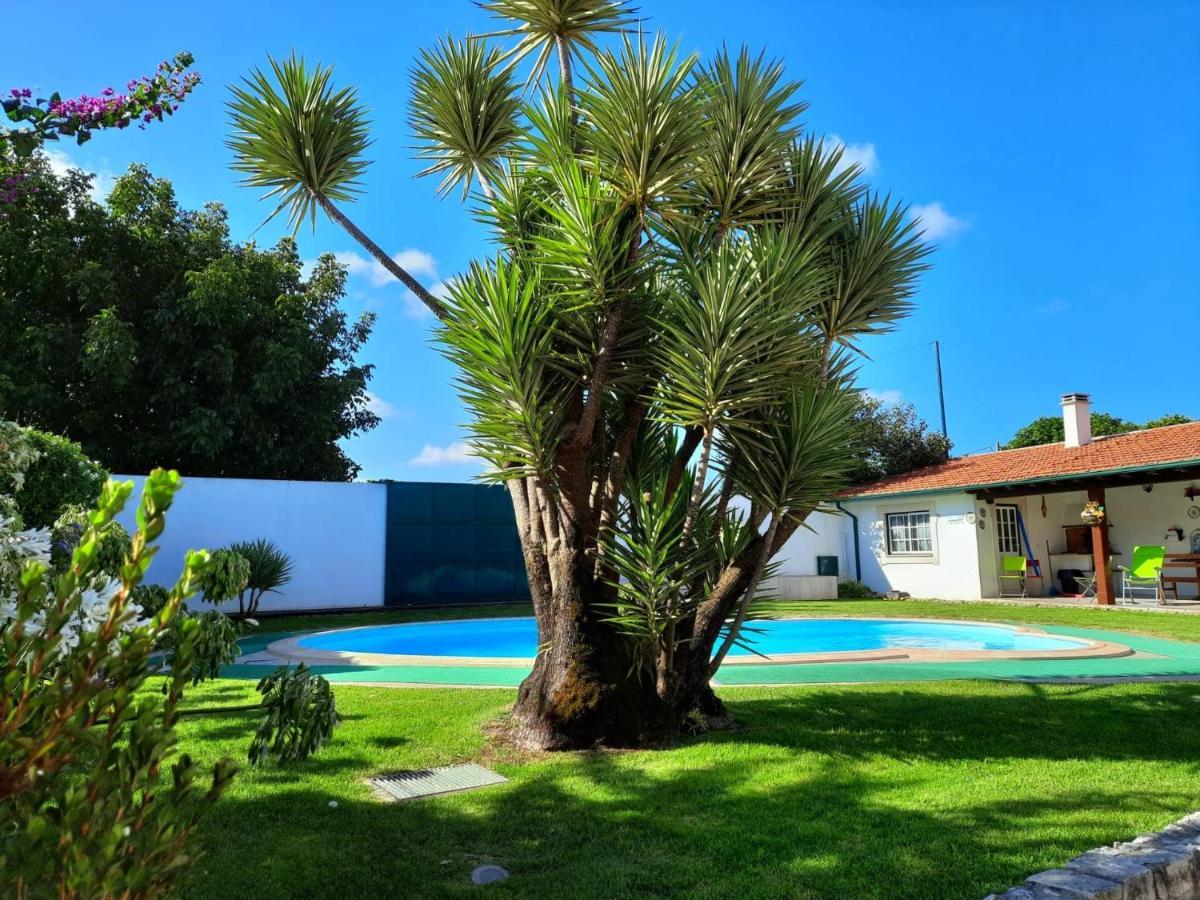 Qm - Quinta Da Morgadinha - Casa Em Quinta Rural Villa Cabecos Bagian luar foto