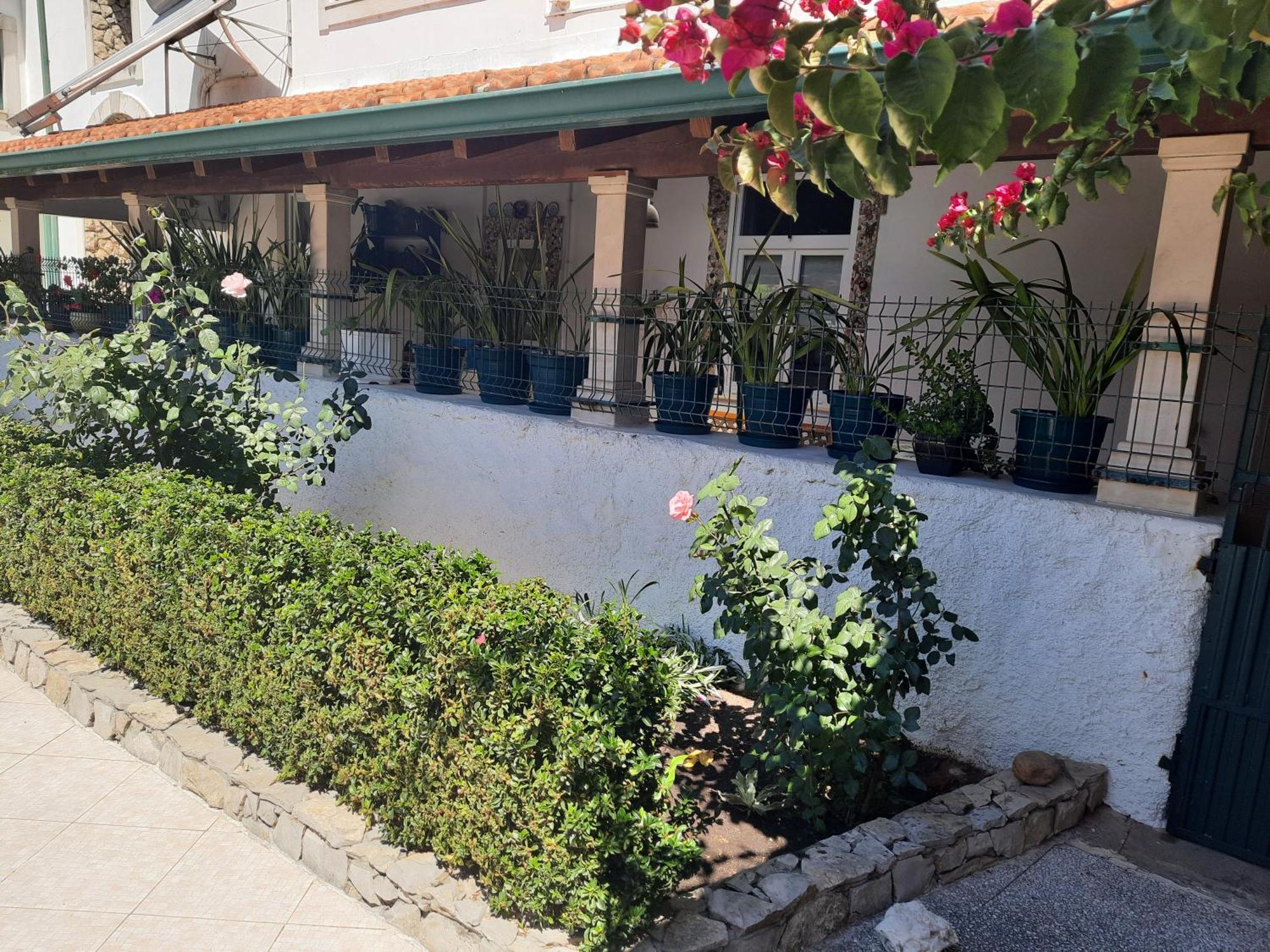 Qm - Quinta Da Morgadinha - Casa Em Quinta Rural Villa Cabecos Bagian luar foto